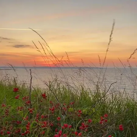 Ferienhaus On - Island Of The Year 2024 *